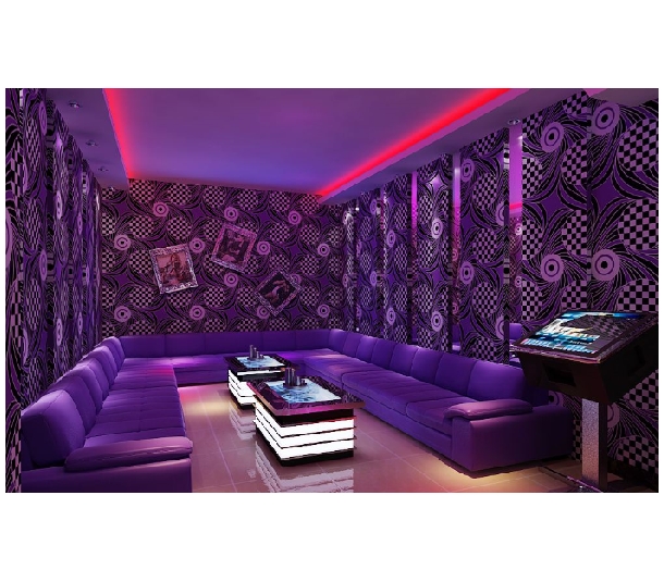 我國專業音響的發(fā)展前景